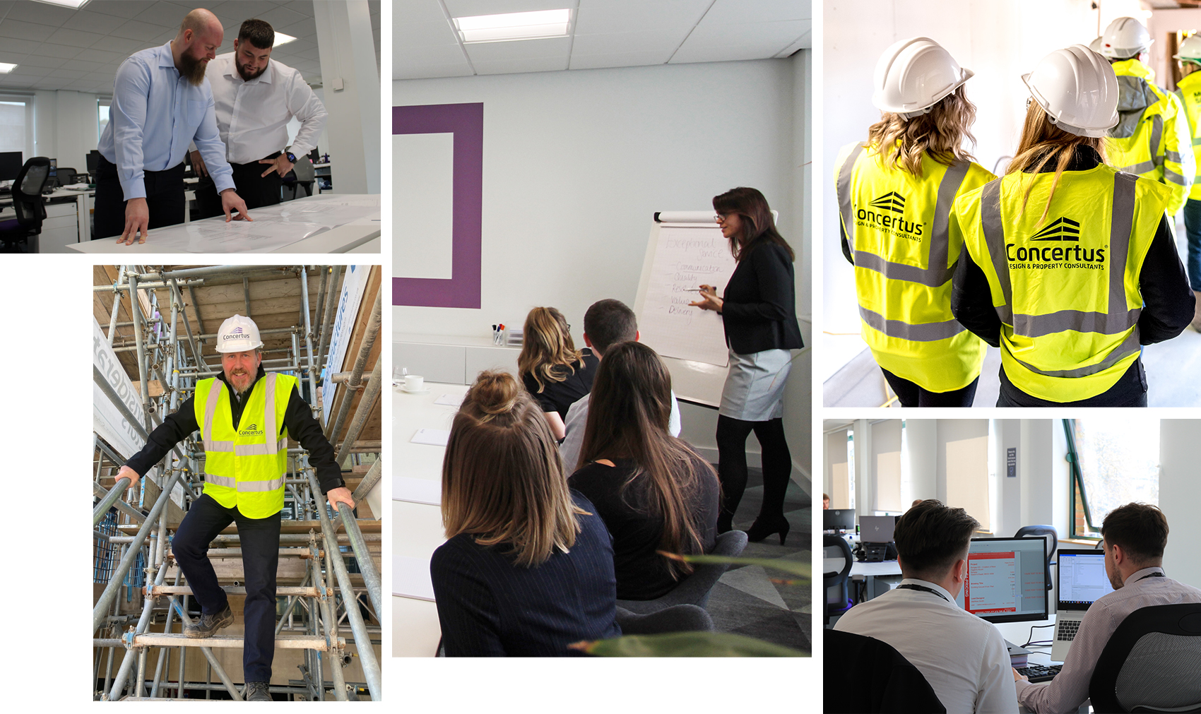 Selection of images of Concertus staff on site and in the office